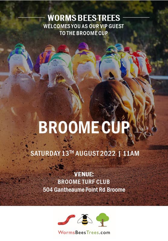 broome-cup